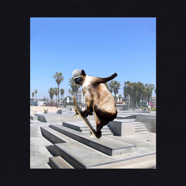 Siamese Cat Kitty Skateboard Skating Skateboarding Funny by Random Galaxy